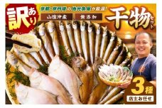10月発送：京丹後の地元魚屋が作ったお任せ干物セット（冷凍）　TB00024_10