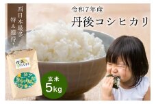 直売所直送「令和7年産　京丹後市産　コシヒカリ」　玄米5kg　JA00070