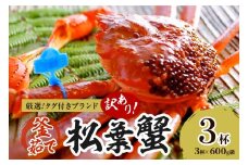【訳あり！！タグ付きブランド】茹で松葉かに 鮮度抜群、釜茹でにてお届け！！ 600g級（足1本落ち）×3杯　YK00503