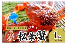 【訳あり！！タグ付きブランド】茹で松葉かに 鮮度抜群、釜茹でにてお届け！！ 1kg級（足1本落ち）×1杯　YK00504