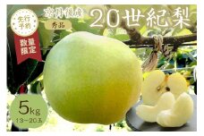 【先行予約／数量限定50】20世紀梨 秀品 5kg（13～20玉入り）（2025年9月上旬～発送）　SF00020