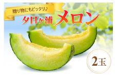 【先行予約／数量限定100】夕日ヶ浦メロン2玉（2026年7月中旬～発送）　JK00030