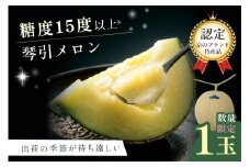 【先行予約／数量限定500】京のブランド産品 京たんごメロン 琴引メロン 3Lサイズ 1玉（2026年6月下旬～発送）　JK00025