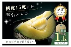 【先行予約／数量限定500】京のブランド産品 京たんごメロン 琴引メロン 3Lサイズ 1玉（2026年6月下旬～発送）　JK00025
