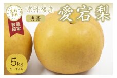 【先行予約／数量限定20】愛宕梨 秀品 5kg（5～12玉入り）（2025年11月下旬～発送）　SF00024