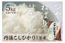 令和7年産　丹後こしひかり 5kg 1等米　MU00055
