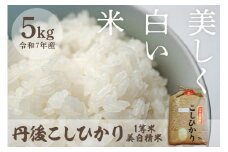 令和7年産 美白精米 丹後こしひかり 5kg 1等米　MU00057