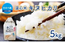 [№5334-0022]米 キヌヒカリ 5kg ×1袋 そのべ産 温心米 2024年度産 お米 単一原料米 きぬひかり 丹波 精米 白米 こめ コメ 京都 
