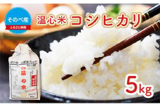[№5334-0023]米 コシヒカリ 5kg ×1袋 そのべ産 温心米 2024年度産 お米 単一原料米 こしひかり 丹波 精米 白米 こめ コメ 京都 