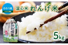 [№5334-0024]米 コシヒカリ れんげ米 5kg ×1袋 そのべ産 温心米 2024年度産 お米 単一原料米 こしひかり 丹波 精米 白米 こめ コメ 京都 
