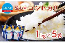 [№5334-0025]米 コシヒカリ 1kg ×5袋 そのべ産 温心米 2024年度産 お米 5kg 単一原料米 こしひかり 丹波 精米 白米 こめ コメ 京都 