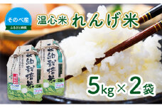[№5334-0028]米 コシヒカリ れんげ米 5kg ×2袋 そのべ産 温心米 2024年度産 お米 単一原料米 こしひかり 丹波 精米 白米 こめ コメ 京都 
