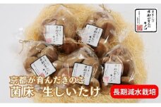 [№5334-0060]しいたけ 京都が育んだきのこ 長期減水栽培 菌床 生しいたけ 特大サイズ 200g 5袋 椎茸 シイタケ きのこ キノコ 野菜 京都 
