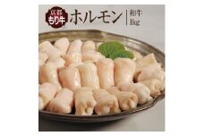 [№5334-0062]牛肉 京都もり牛 和牛 ホルモン 1kg 小分け 京都府産 国産 国産牛 黒毛和牛 小腸 焼き肉 焼肉 BBQ バーベキュー もつ もつ鍋 鍋 お肉 牛 肉 ブランド ギフト 冷凍 京都 牛肉/ホルモン 