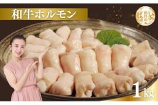 [№5334-0062]牛肉 京都もり牛 和牛 ホルモン 1kg 小分け 京都府産 国産 国産牛 黒毛和牛 小腸 焼き肉 焼肉 BBQ バーベキュー もつ もつ鍋 鍋 お肉 牛 肉 ブランド ギフト 冷凍 京都 牛肉/ホルモン 