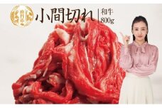 [№5334-0064]牛肉 京都もり牛 こま切れ 800g 小分け 京都府産 国産 国産牛 和牛 黒毛和牛 小間切れ 焼き肉 焼肉 BBQ バーベキュー カレー 牛丼 鍋 お肉 牛 肉 ブランド ギフト 冷凍 京都 