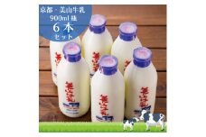 [№5334-0100]牛乳 京都 美山牛乳 瓶 900ml ×6本 セット 美山町 お取り寄せ ※北海道・沖縄・離島への発送不可 