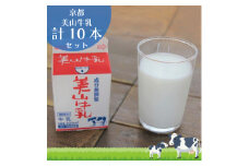 [№5334-0103]牛乳 京都 美山牛乳 200ml ×10本 セット 美山町 お取り寄せ パック 紙パック 200mL ※北海道・沖縄・離島への発送不可 