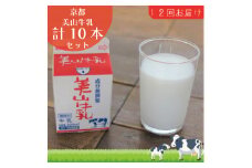 [№5334-0105]牛乳 定期便 12ヶ月 京都 美山牛乳 200ml ×10本 セット 美山町 お取り寄せ パック 紙パック 200mL 定期 お楽しみ 12回 ※北海道・沖縄・離島への発送不可 
