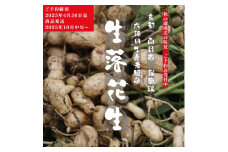 [№5334-0140]落花生 京都 2025年 先行予約 生落花生 るり渓 大河内生産組合発 丹波 野菜 国産 ピーナッツ おつまみ 先行 ※北海道・沖縄・離島への発送不可 