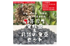 [№5334-0142]枝豆 定期便 2ヶ月 京都 2025年 先行予約 黒枝豆バラ 落花生 黒豆 るり渓 大河内生産組合発 丹波 先行 定期 お楽しみ 2回 ※北海道・沖縄・離島への発送不可 