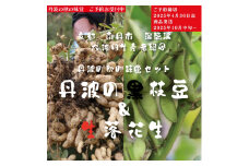 [№5334-0143]枝豆 京都 2025年 先行予約 黒枝豆 生落花生 るり渓 大河内生産組合発 丹波 野菜 国産 生 落花生 おつまみ えだまめ エダマメ 先行 ※北海道・沖縄・離島への発送不可 