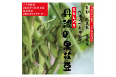 [№5334-0144]枝豆 京都 2025年 先行予約 丹波黒枝豆 バラ 約500g るり渓 大河内生産組合発 丹波 野菜 国産 生 黒枝豆 おつまみ えだまめ エダマメ 先行 ※北海道・沖縄・離島への発送不可 