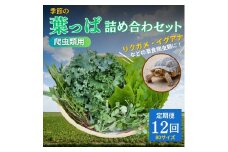 [№5334-0230]【爬虫類用】季節の葉っぱ詰め合わせ【80サイズ12回コース】