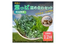 [№5334-0231]【爬虫類用】季節の葉っぱ詰め合わせ【60サイズ12回コース】