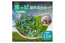 [№5334-0233]【爬虫類用】季節の葉っぱ詰め合わせ【コンパクトサイズ12回コース】