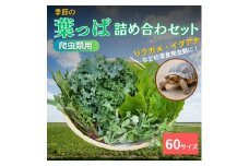 [№5334-0232]【爬虫類用】季節の葉っぱ詰め合わせ【60サイズ】
