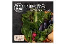 [№5334-0240]自然栽培・季節の野菜詰め合わせセット 旬 新鮮 採れたて 栽培期間中 無農薬 無化学肥料 安心安全 自然派 産地直送 やさい 詰め合わせ 京都府 南丹市
