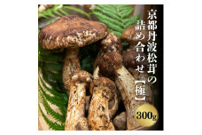 [№5334-0247]京都丹波松茸の詰め合わせ 300g【極上】まつたけ 数量限定 期間限定 きのこ 秋 天然 国産 国内産 京都府 南丹市　※2025年10月中旬以降順次発送