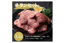 [№5334-0250]牛タン 1.2kg セット 厚切り牛タン 塩麹調味  たれ漬け 詰め合わせ 味付き牛タン 厚切り スライス 牛 牛肉 お肉 肉 タン 味付け肉 味付き肉 小分けパック 小分け 冷凍 冷凍肉 京都 京都府 南丹市
