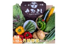 [№5334-0258]【定期便6回】＜京野菜の京都やおよし＞丹波野菜詰め合わせセット《栽培期間中農薬不使用 野菜》※北海道・沖縄・離島への発送不可