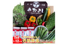 [№5334-0265]【定期便4回】＜京野菜の京都やおよし＞丹波野菜詰め合わせ 美山牛乳のセット《栽培期間中農薬不使用 野菜》※北海道・沖縄・離島への発送不可