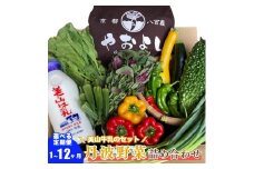 [№5334-0271]【定期便12回】＜京野菜の京都やおよし＞丹波野菜詰め合わせ 美山牛乳のセット《栽培期間中農薬不使用 野菜》※北海道・沖縄・離島への発送不可
