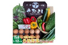 [№5334-0275]【定期便12回】＜京野菜の京都やおよし＞丹波野菜詰め合わせ 平飼い卵のセット《栽培期間中農薬不使用 野菜》※北海道・沖縄・離島への発送不可
