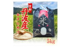 [№5334-0287]新米 令和6年産 キヌヒカリ 5kg 米 白米 精米 お米 こめ コメ きぬひかり 令和6年 ご飯 ごはん 京都 京都府 南丹市