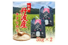 [№5334-0288]新米 令和6年産 キヌヒカリ 10kg (5kg×2袋) 米 白米 精米 お米 こめ コメ きぬひかり 令和6年 ご飯 ごはん 京都 京都府 南丹市