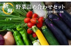 [№5334-0311]新鮮 野菜 詰め合わせ セット