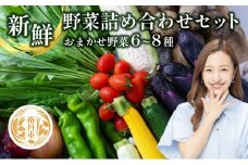 [№5334-0311]新鮮 野菜 詰め合わせ セット
