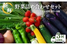 [№5334-0312]【定期便3回】新鮮 野菜 詰め合わせ セット