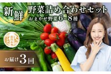 [№5334-0312]【定期便3回】新鮮 野菜 詰め合わせ セット