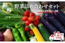 [№5334-0314]【定期便12回】新鮮 野菜 詰め合わせ セット