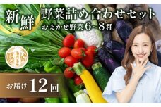 [№5334-0314]【定期便12回】新鮮 野菜 詰め合わせ セット