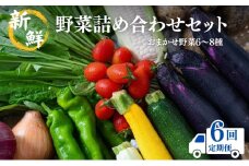[№5334-0313]【定期便6回】新鮮 野菜 詰め合わせ セット