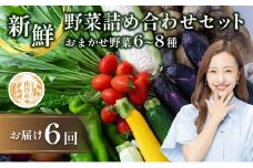 [№5334-0313]【定期便6回】新鮮 野菜 詰め合わせ セット