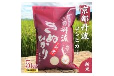 [№5334-0316]令和6年産 新米 京都丹波産 きぬひかり 5kg　契約栽培米