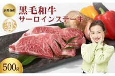 [№5334-0339]京都府産 黒毛和牛 サーロインステーキ 500g